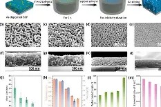 中欧娱乐入口 -包含p",l(B∴_CplcJ-狧?QX溶?C珏換葨?4鲀e?k7祧D\的词条